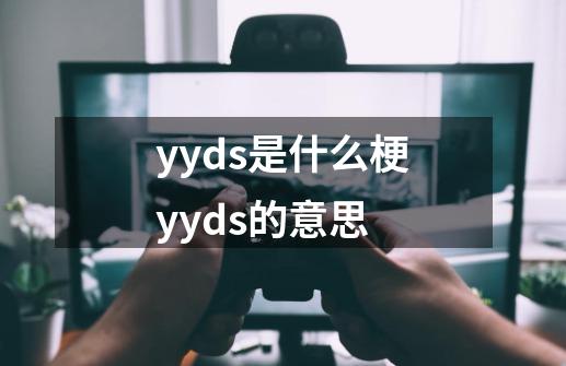 yyds是什么梗yyds的意思-第1张-游戏资讯-龙启科技