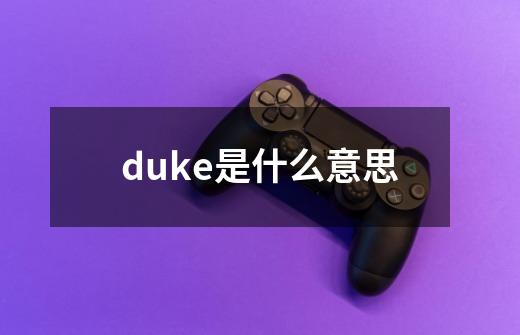 duke是什么意思-第1张-游戏资讯-龙启科技