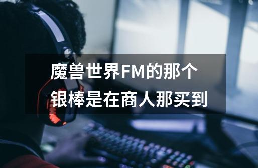 魔兽世界FM的那个银棒是在商人那买到-第1张-游戏资讯-龙启科技