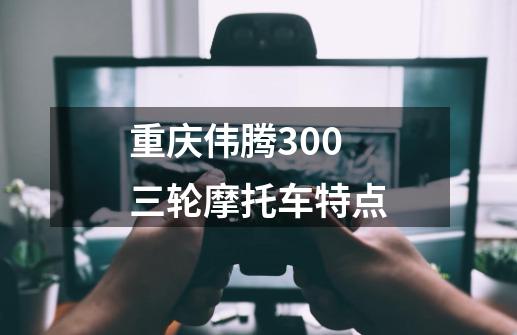 重庆伟腾300三轮摩托车特点-第1张-游戏资讯-龙启科技