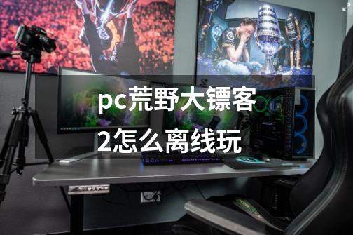 pc荒野大镖客2怎么离线玩-第1张-游戏资讯-龙启科技