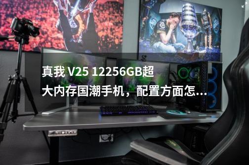 真我 V25 12+256GB超大内存国潮手机，配置方面怎么样-第1张-游戏资讯-龙启科技