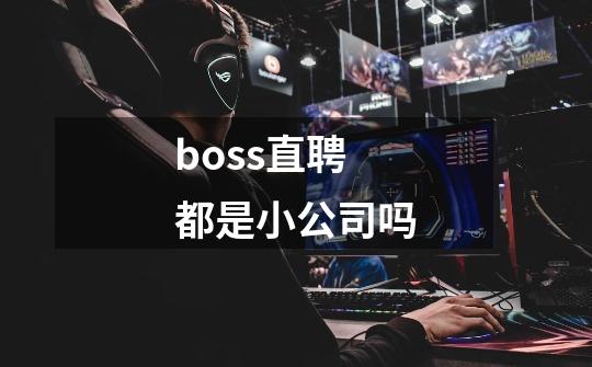 boss直聘都是小公司吗-第1张-游戏资讯-龙启科技