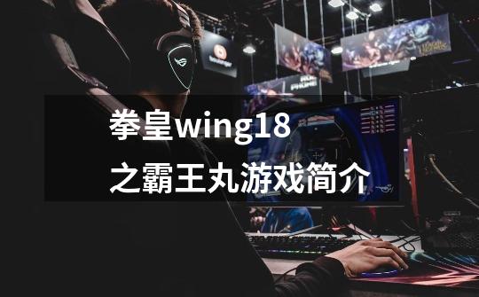 拳皇wing1.8之霸王丸游戏简介-第1张-游戏资讯-龙启科技