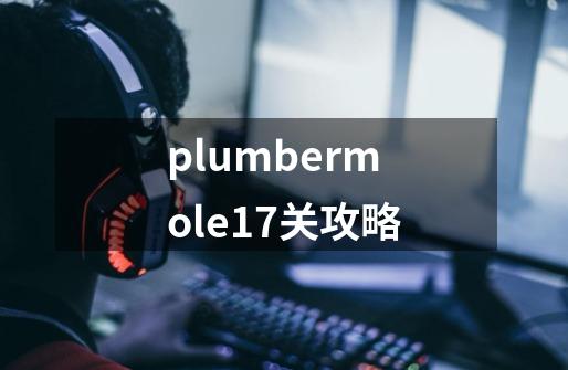 plumbermole17关攻略-第1张-游戏资讯-龙启科技