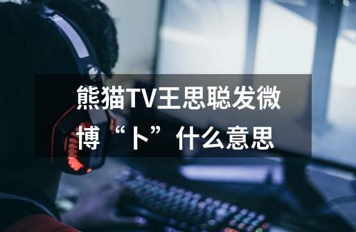 熊猫TV王思聪发微博“卜”什么意思-第1张-游戏资讯-龙启科技