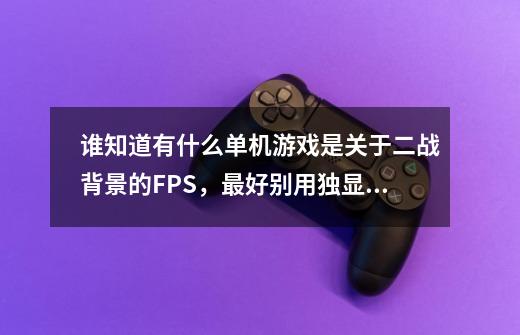 谁知道有什么单机游戏是关于二战背景的FPS，最好别用独显。有这种游戏没，谁知道给我说下啊！！~~-第1张-游戏资讯-龙启科技