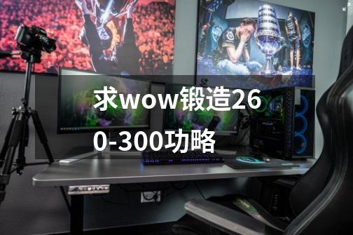 求wow锻造260-300功略-第1张-游戏资讯-龙启科技