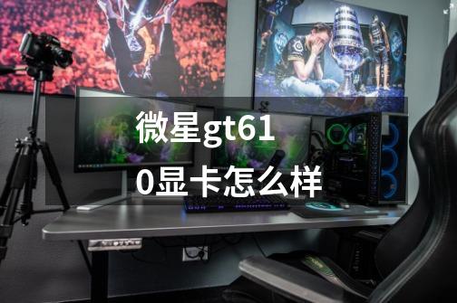 微星gt610显卡怎么样-第1张-游戏资讯-龙启科技