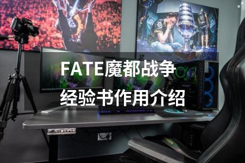 FATE魔都战争经验书作用介绍-第1张-游戏资讯-龙启科技