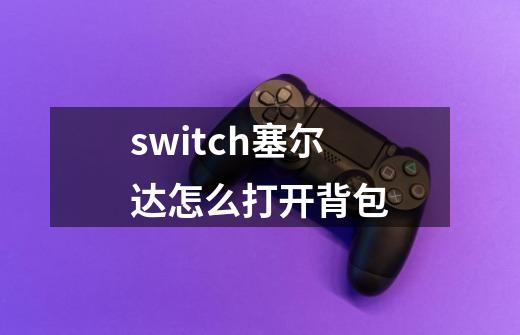 switch塞尔达怎么打开背包-第1张-游戏资讯-龙启科技