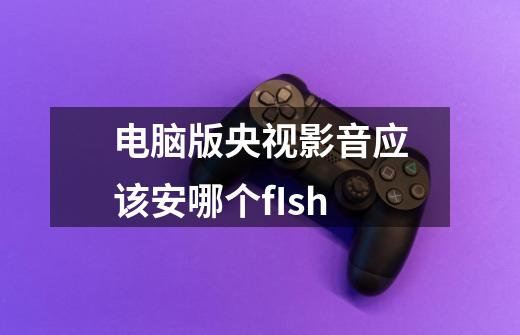 电脑版央视影音应该安哪个fIsh-第1张-游戏资讯-龙启科技