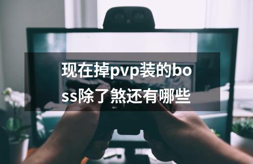 现在掉pvp装的boss除了煞还有哪些-第1张-游戏资讯-龙启科技