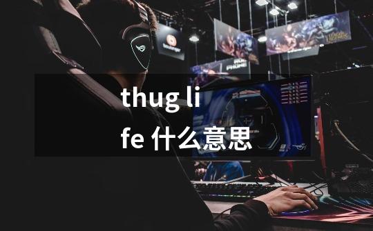 thug life 什么意思-第1张-游戏资讯-龙启科技