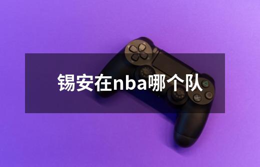 锡安在nba哪个队-第1张-游戏资讯-龙启科技