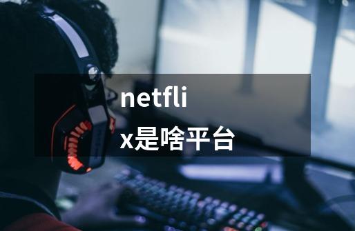 netflix是啥平台-第1张-游戏资讯-龙启科技