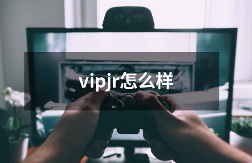 vipjr怎么样-第1张-游戏资讯-龙启科技