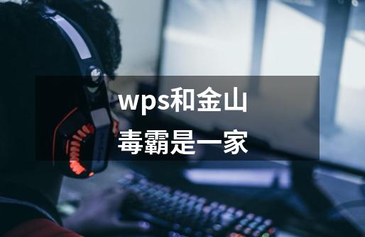 wps和金山毒霸是一家-第1张-游戏资讯-龙启科技