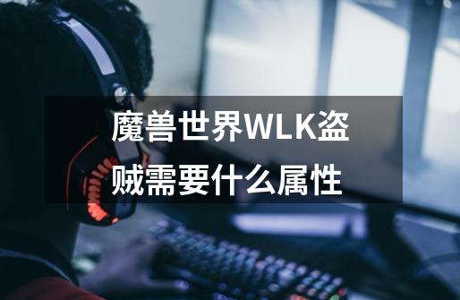 魔兽世界WLK盗贼需要什么属性-第1张-游戏资讯-龙启科技