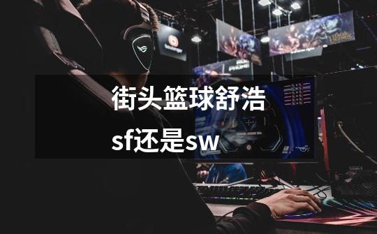 街头篮球舒浩sf还是sw-第1张-游戏资讯-龙启科技