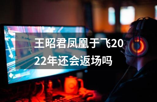 王昭君凤凰于飞2022年还会返场吗-第1张-游戏资讯-龙启科技