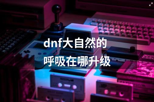 dnf大自然的呼吸在哪升级-第1张-游戏资讯-龙启科技