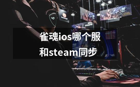 雀魂ios哪个服和steam同步-第1张-游戏资讯-龙启科技