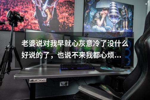 老婆说对我早就心灰意冷了没什么好说的了，也说不来我都心烦死了-第1张-游戏资讯-龙启科技