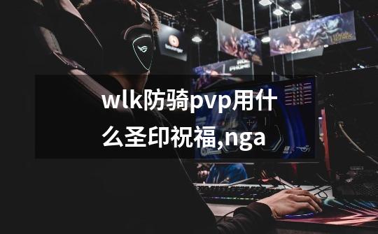 wlk防骑pvp用什么圣印祝福,nga-第1张-游戏资讯-龙启科技