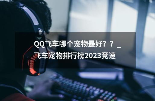 QQ飞车哪个宠物最好？？_飞车宠物排行榜2023竞速-第1张-游戏资讯-龙启科技