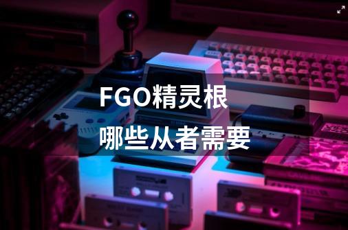 FGO精灵根哪些从者需要-第1张-游戏资讯-龙启科技