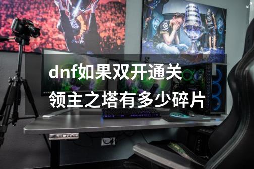 dnf如果双开通关领主之塔有多少碎片-第1张-游戏资讯-龙启科技