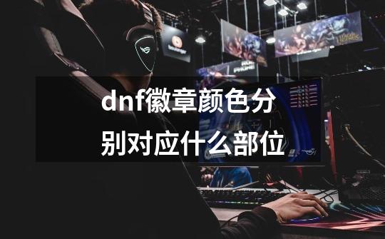 dnf徽章颜色分别对应什么部位-第1张-游戏资讯-龙启科技