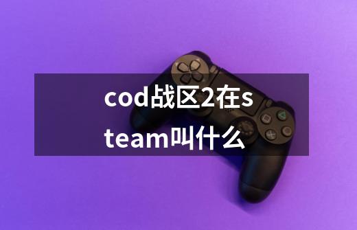 cod战区2在steam叫什么-第1张-游戏资讯-龙启科技