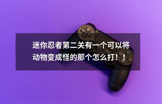 迷你忍者第二关有一个可以将动物变成怪的那个怎么打！！-第1张-游戏资讯-龙启科技