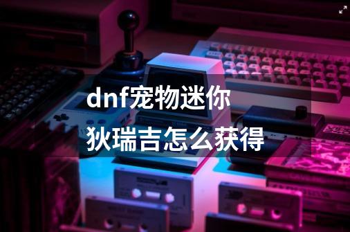 dnf宠物迷你狄瑞吉怎么获得-第1张-游戏资讯-龙启科技