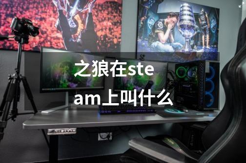 之狼在steam上叫什么-第1张-游戏资讯-龙启科技