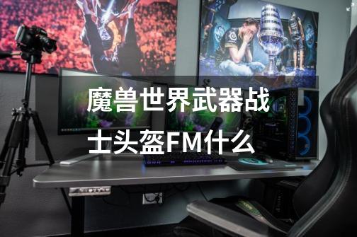 魔兽世界武器战士头盔FM什么-第1张-游戏资讯-龙启科技