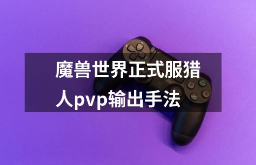 魔兽世界正式服猎人pvp输出手法-第1张-游戏资讯-龙启科技