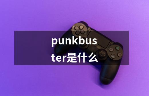 punkbuster是什么-第1张-游戏资讯-龙启科技