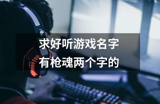 求好听游戏名字 有枪魂两个字的-第1张-游戏资讯-龙启科技