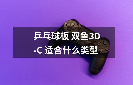 乒乓球板 双鱼3D-C 适合什么类型-第1张-游戏资讯-龙启科技