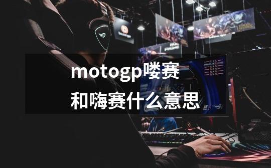 motogp喽赛和嗨赛什么意思-第1张-游戏资讯-龙启科技