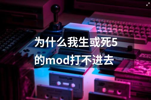 为什么我生或死5的mod打不进去-第1张-游戏资讯-龙启科技