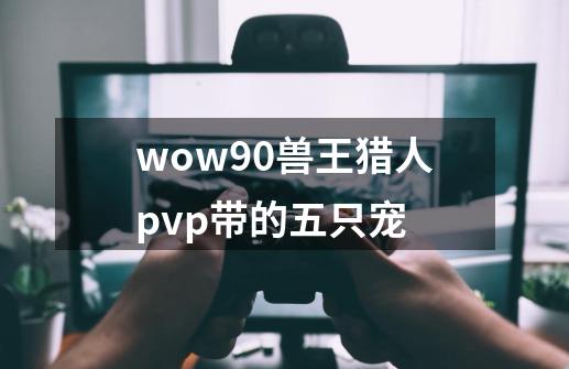 wow90兽王猎人pvp带的五只宠-第1张-游戏资讯-龙启科技