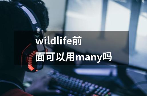 wildlife前面可以用many吗-第1张-游戏资讯-龙启科技