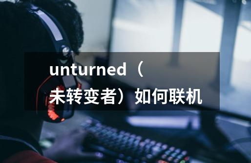 unturned（未转变者）如何联机-第1张-游戏资讯-龙启科技