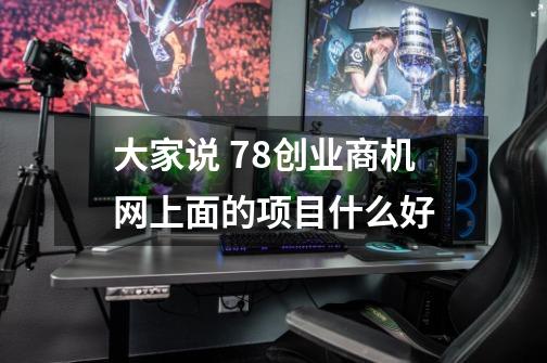 大家说 78创业商机网上面的项目什么好-第1张-游戏资讯-龙启科技