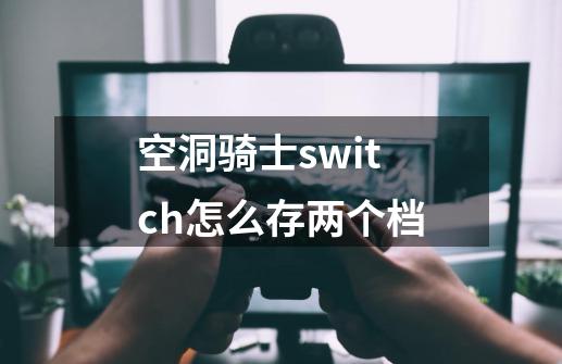 空洞骑士switch怎么存两个档-第1张-游戏资讯-龙启科技