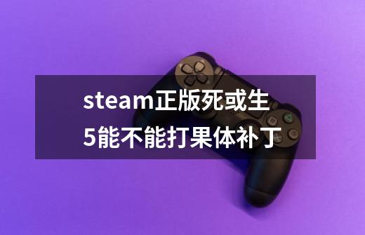 steam正版死或生5能不能打果体补丁-第1张-游戏资讯-龙启科技